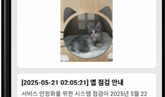 KakaoTalk_20250521_234604416