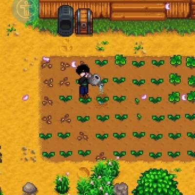 약초캐고 레벨업