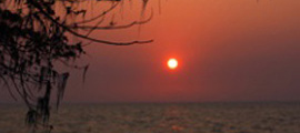 Image 05