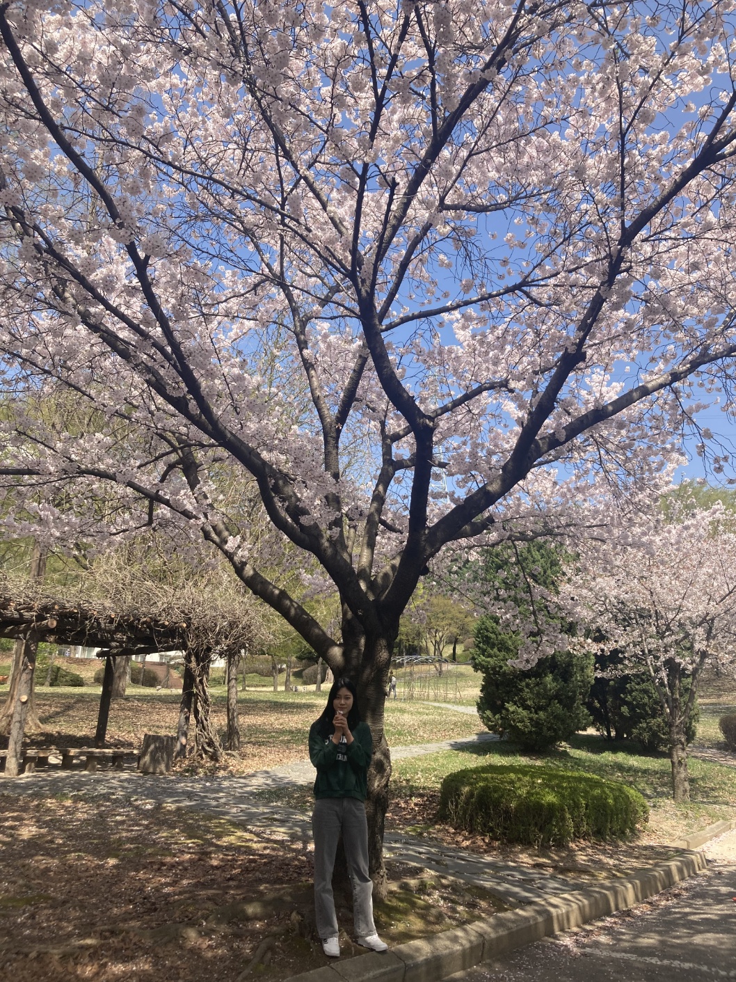 안산대학교 캠퍼스 사진