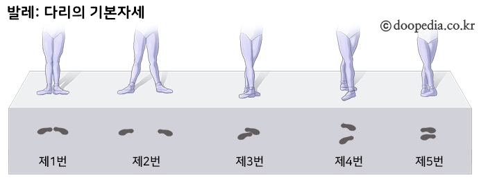 기본발